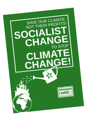 Flyer: Socialist Change to Stop Climate Change!